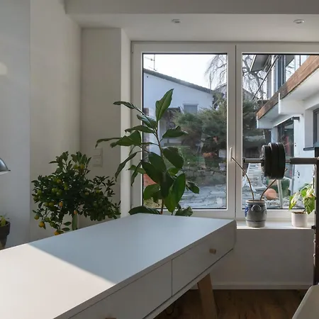 Sunshine River Flat *